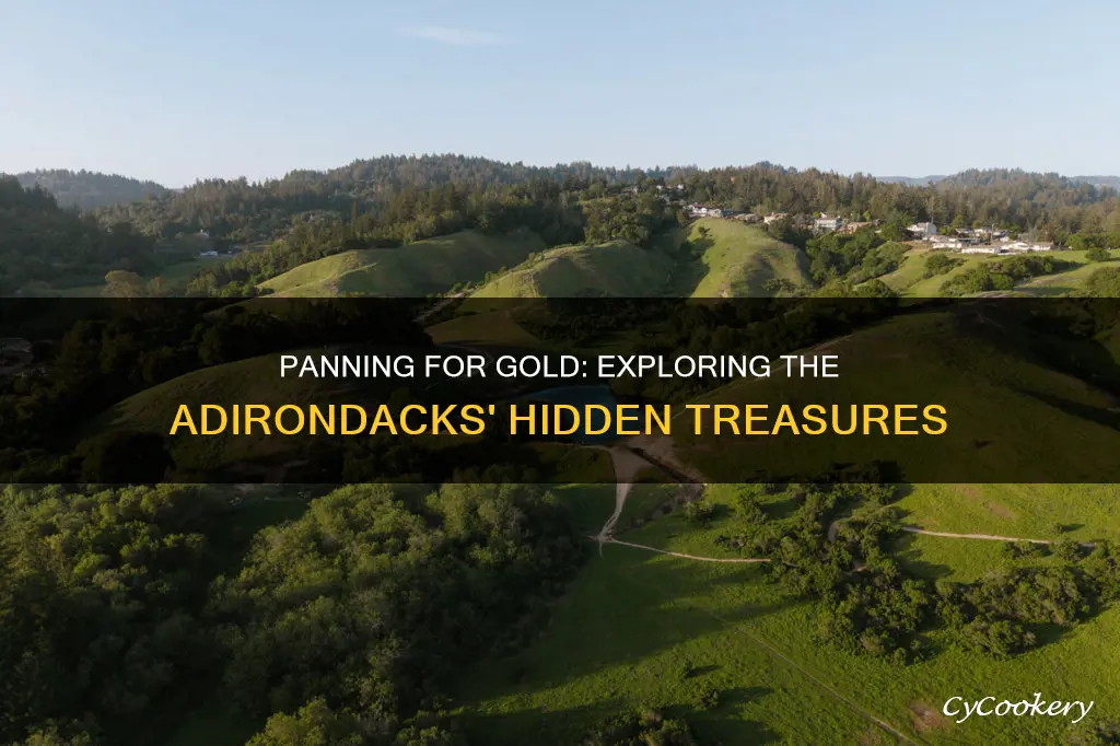 can you pan for gold in the adirondacks