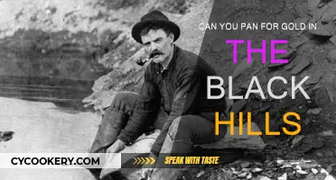 Panning for Gold in the Black Hills: Is It Possible?