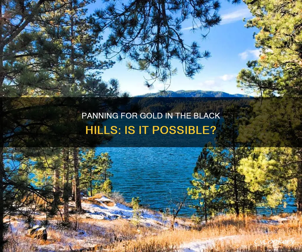 can you pan for gold in the black hills