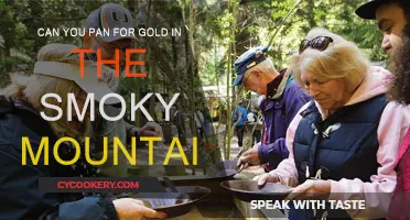 Panning for Gold: Smoky Mountains' Hidden Treasure