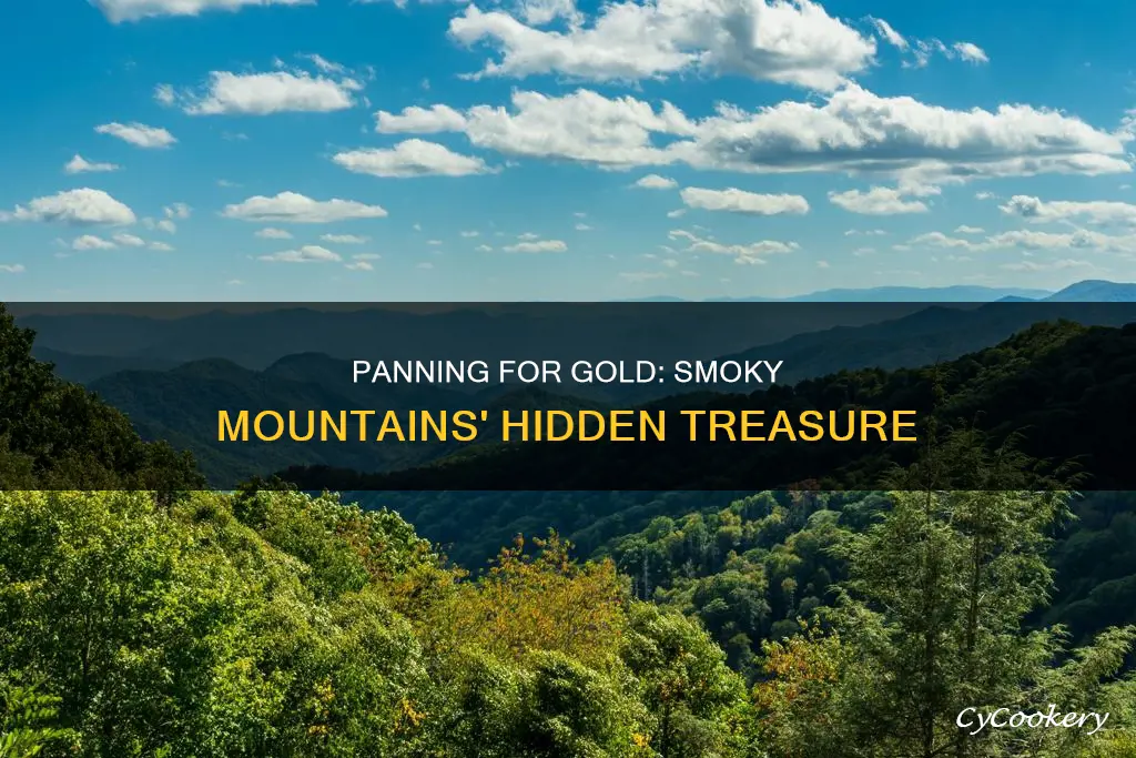can you pan for gold in the smoky mountains