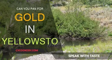 Panning for Gold in Yellowstone: Is it Legal?