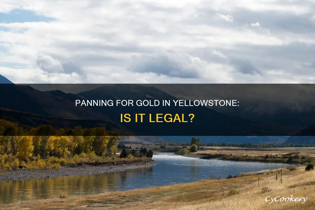 can you pan for gold in yellowstone