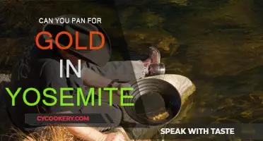 Panning for Gold in Yosemite: Is It Allowed?