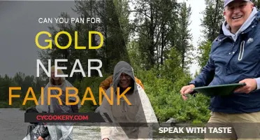 Gold Panning in Fairbanks: Where to Go and What to Know