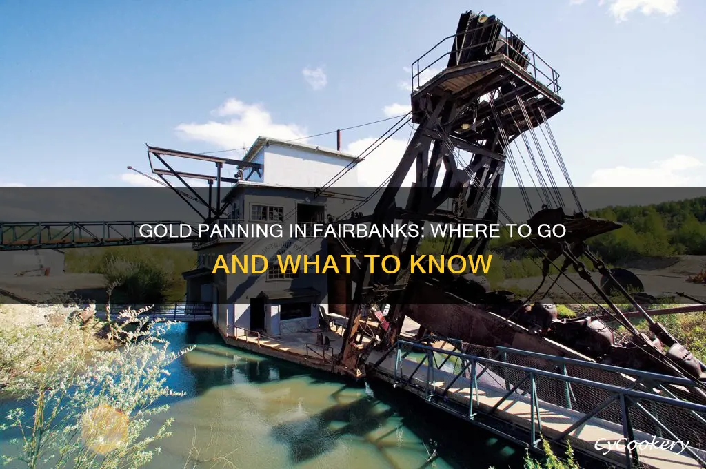 can you pan for gold near fairbanks