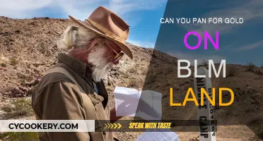 Panning for Gold: BLM Land Opportunities