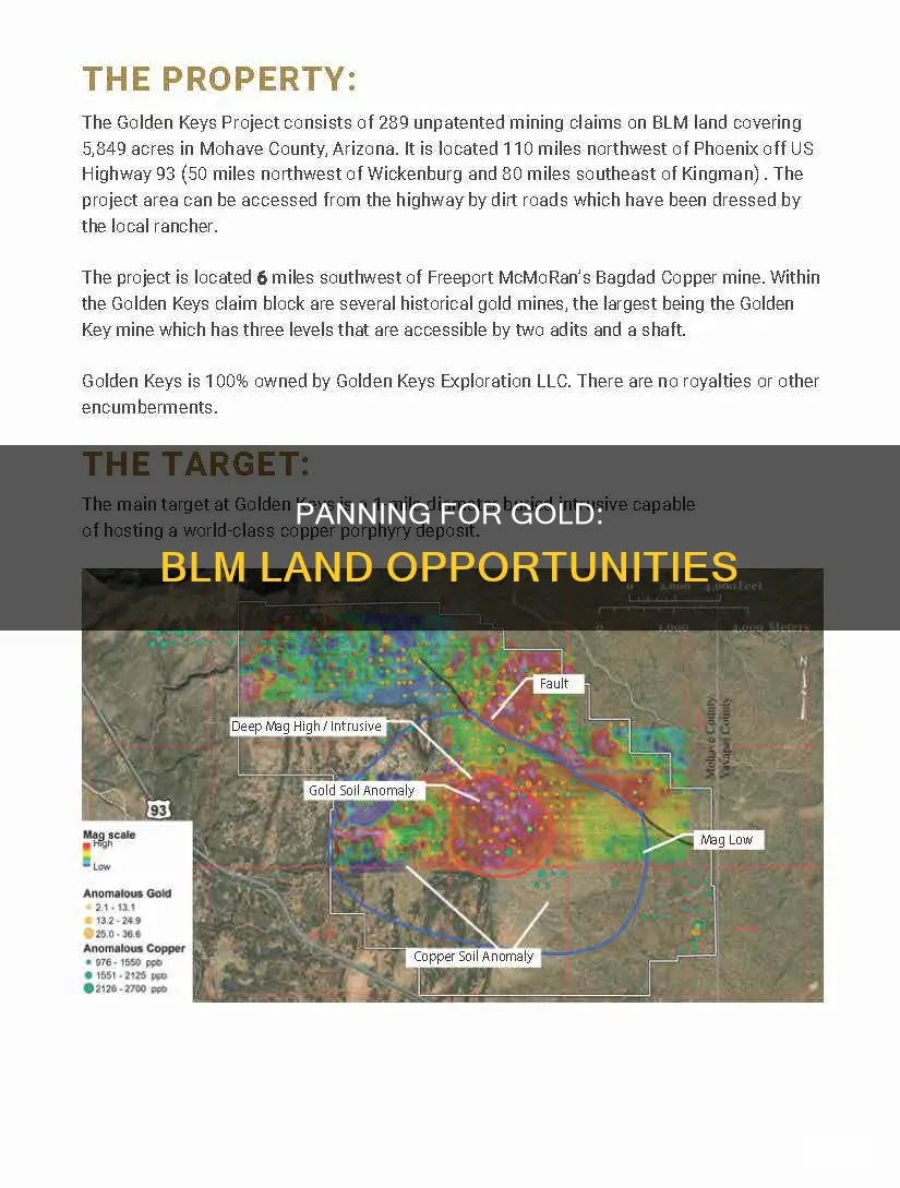 can you pan for gold on blm land