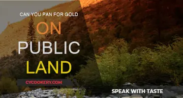 Panning for Gold: Exploring Public Land Opportunities