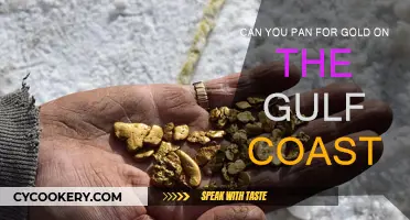 Panning for Gold: Exploring the Gulf Coast's Hidden Treasures