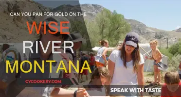 Panning for Gold: Wise River, Montana's Secrets