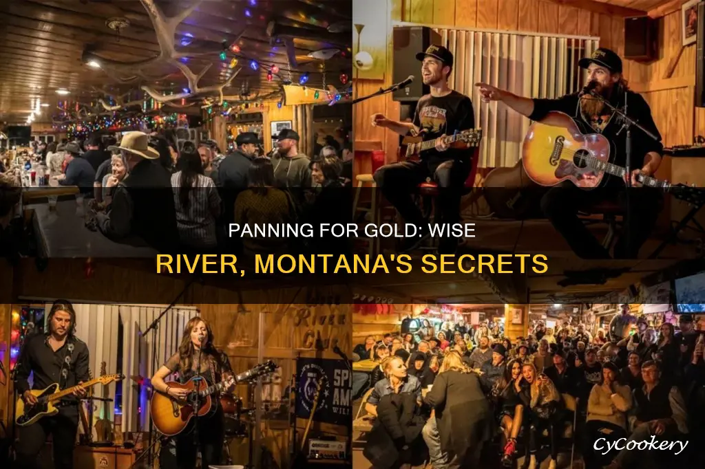can you pan for gold on the wise river montana