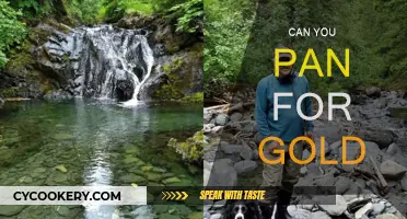 Panning for Gold: Is it Worth the Effort?