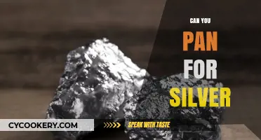 Panning for Silver: Is It Possible?