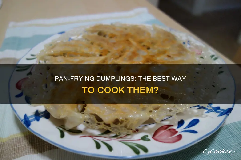 can you pan fry a dumplings after boiling