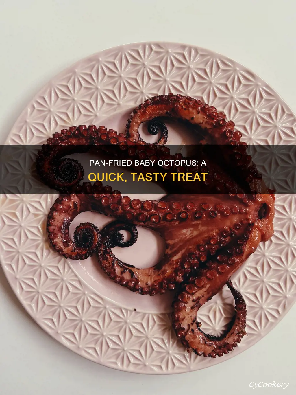 can you pan fry baby octopus