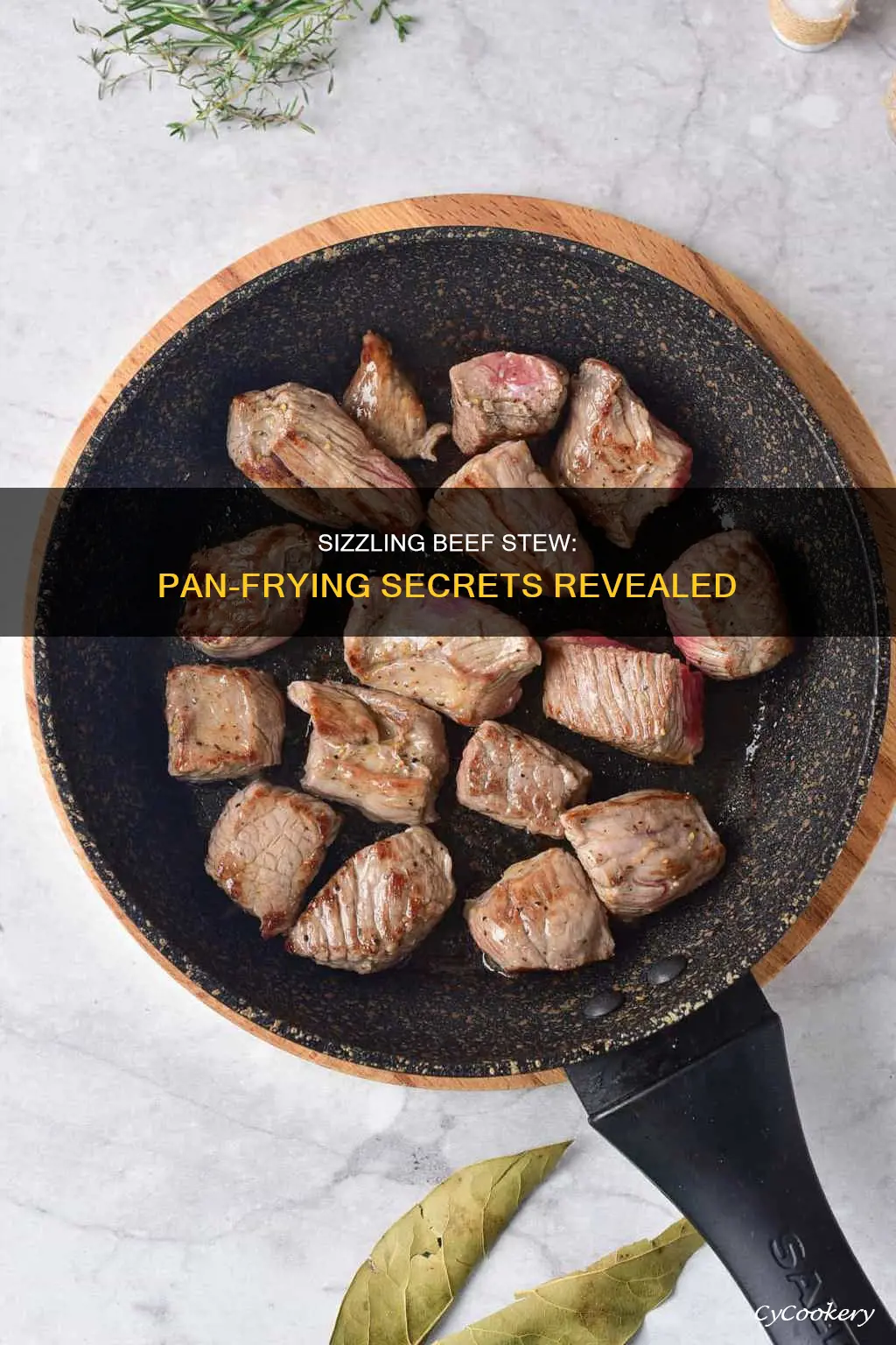 can you pan fry beef stew meat