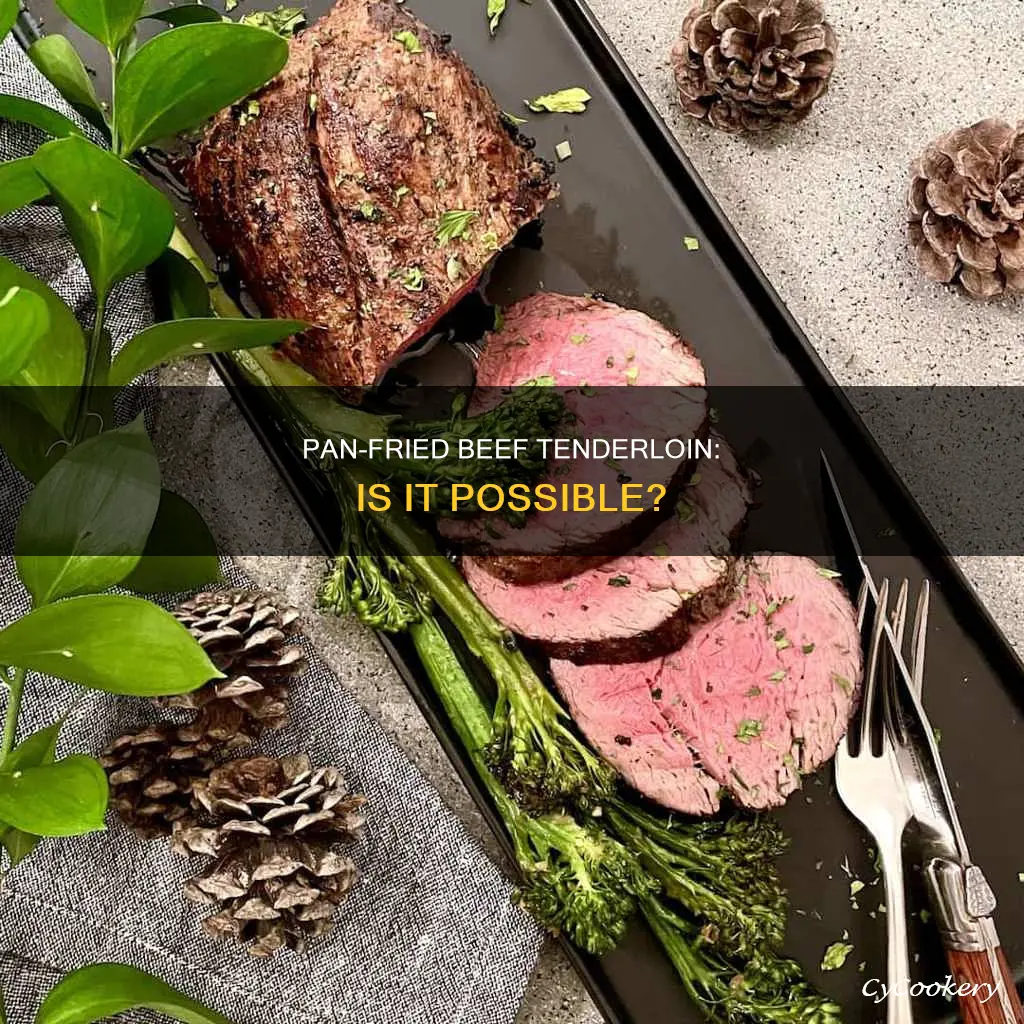 can you pan fry beef tenderloin