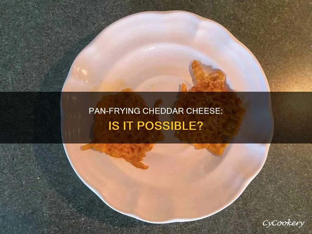 can you pan fry cheddar cheese