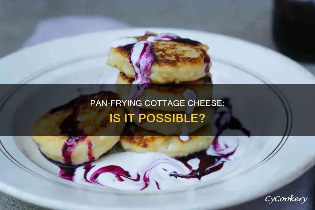 can you pan fry cottage cheese