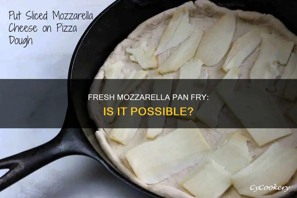 can you pan fry fresh mozzarella