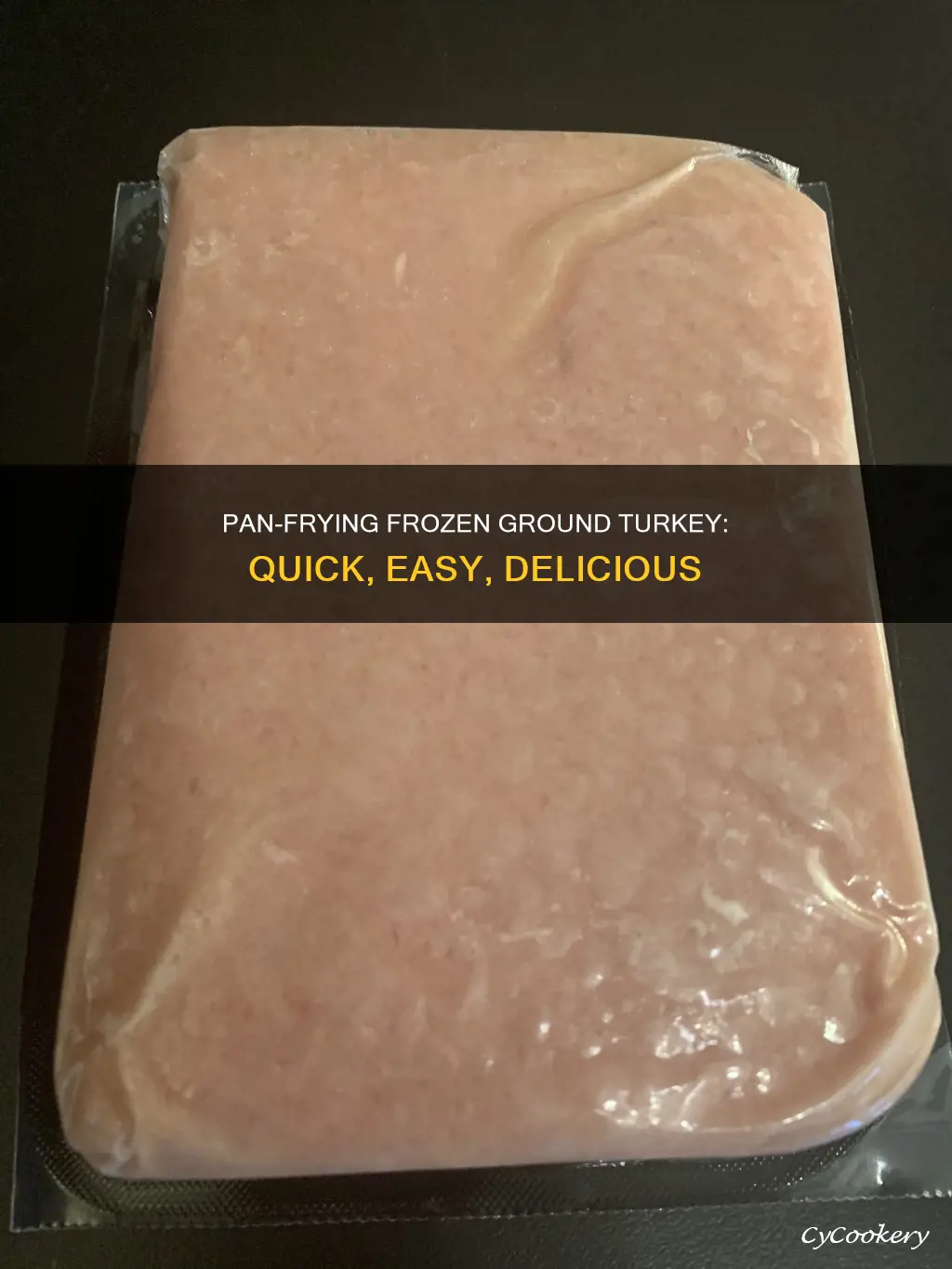 can you pan fry frozen ground turkey