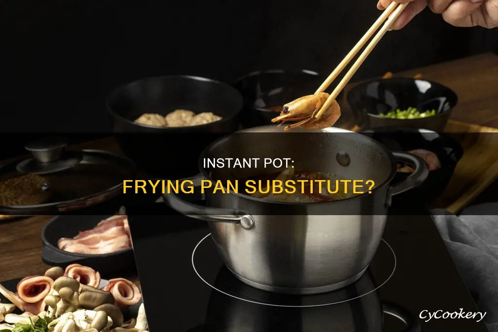 can you pan fry in an instant pot