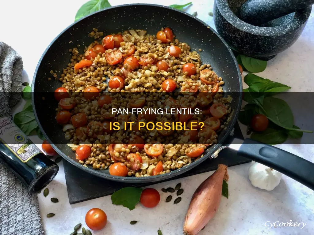 can you pan fry lentils