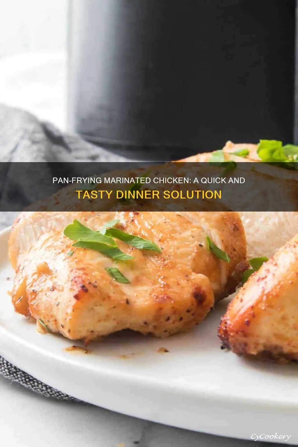 can you pan fry marinated chicken