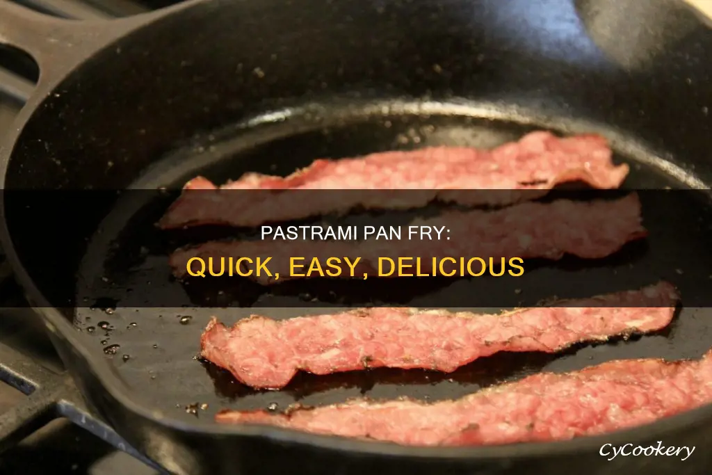 can you pan fry pastrami