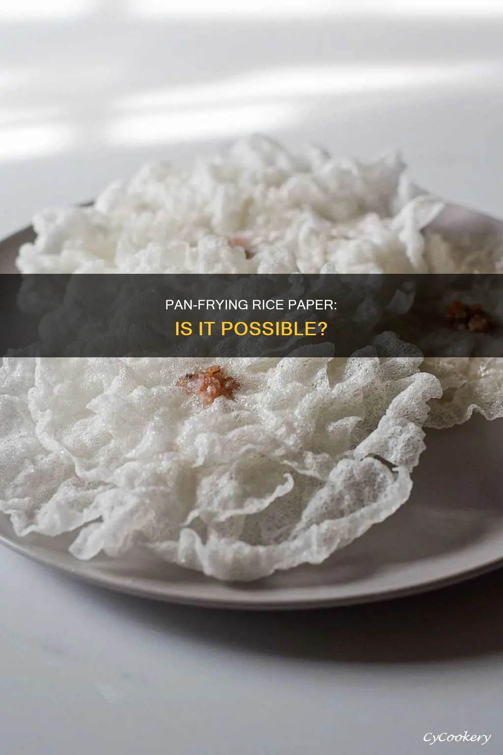 can you pan fry rice paper