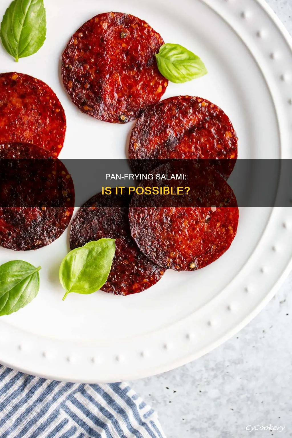 can you pan fry salami