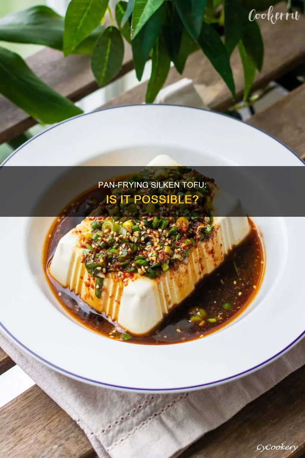 can you pan fry silken tofu