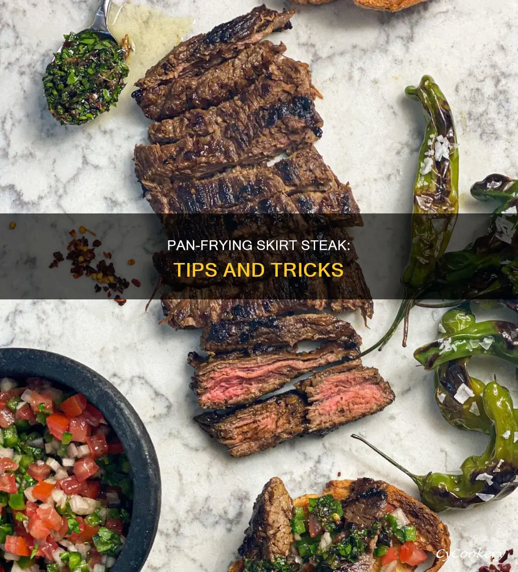 can you pan fry skirt steak