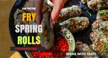 Spring Rolls: Pan-Fried to Perfection