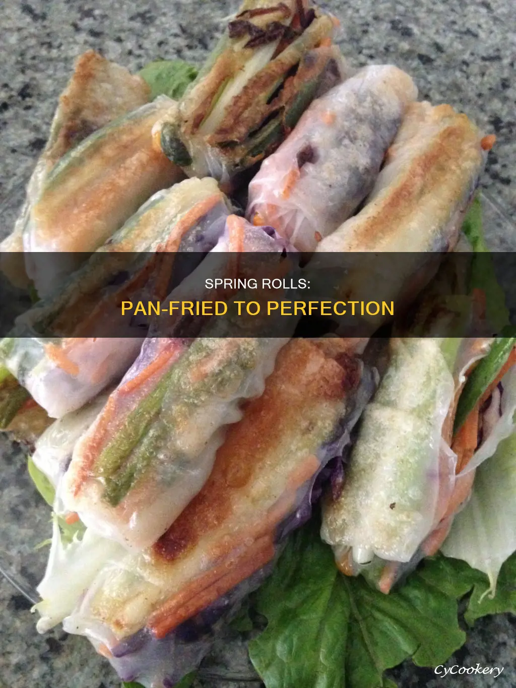 can you pan fry spring rolls