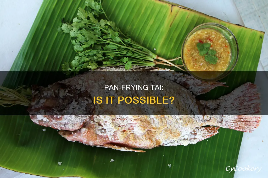 can you pan fry tai