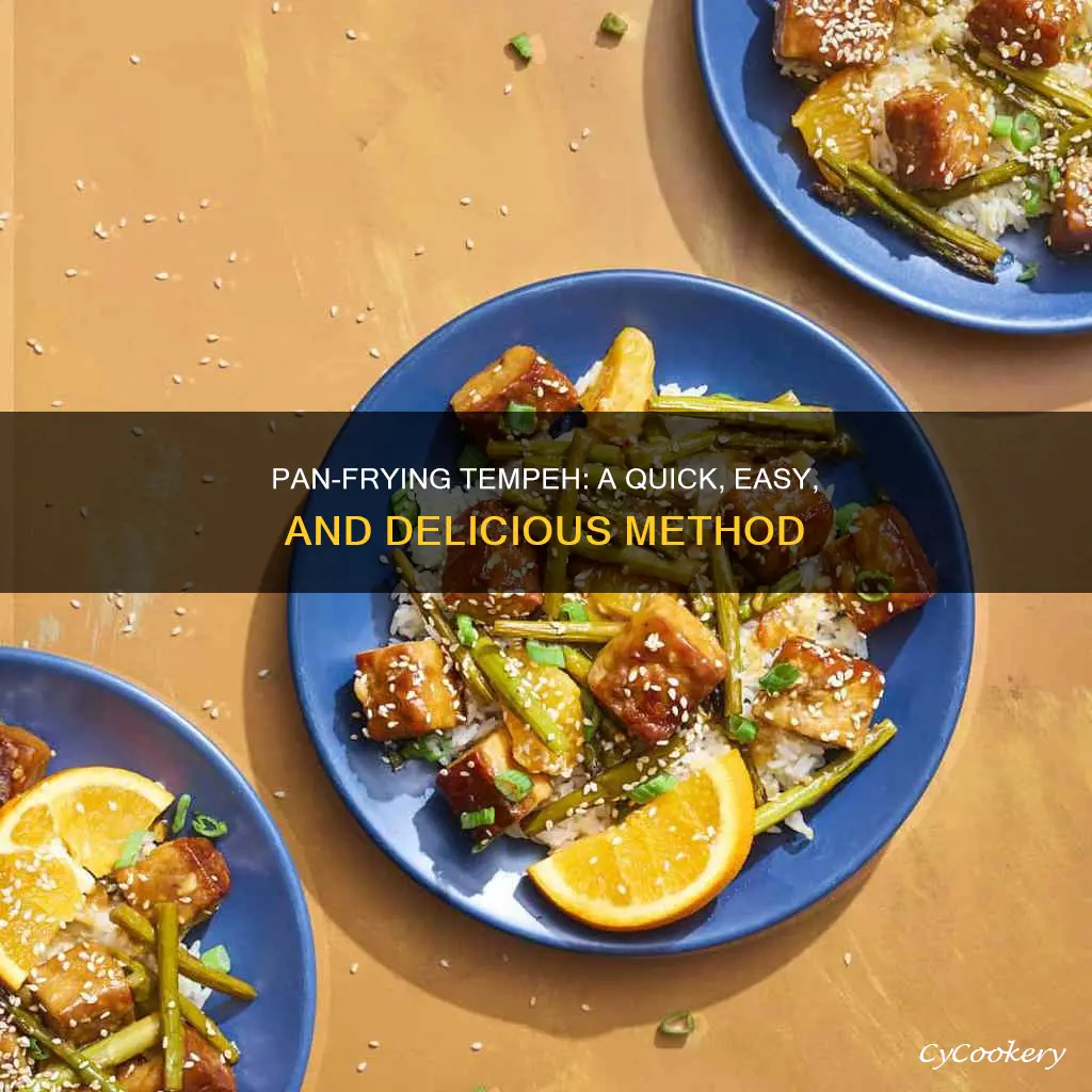 can you pan fry tempeh