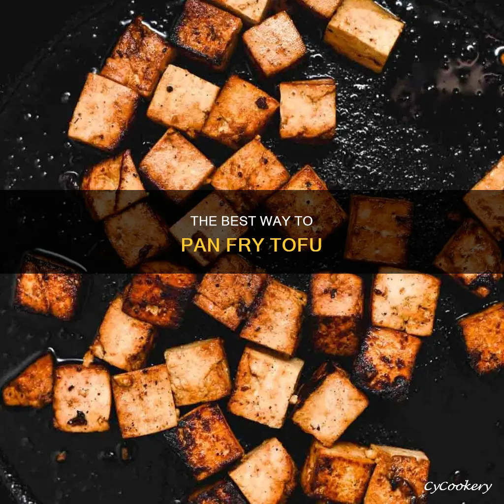 can you pan fry tofu