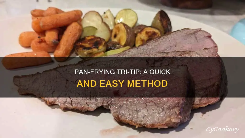 can you pan fry tri tip