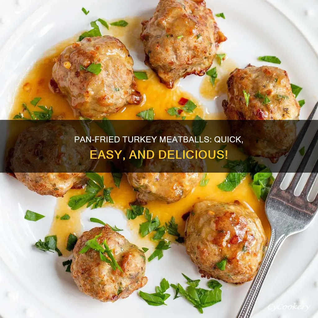 can you pan fry turkey meatballs