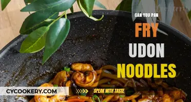 Pan-fried Udon Noodles: A Quick and Easy Dish