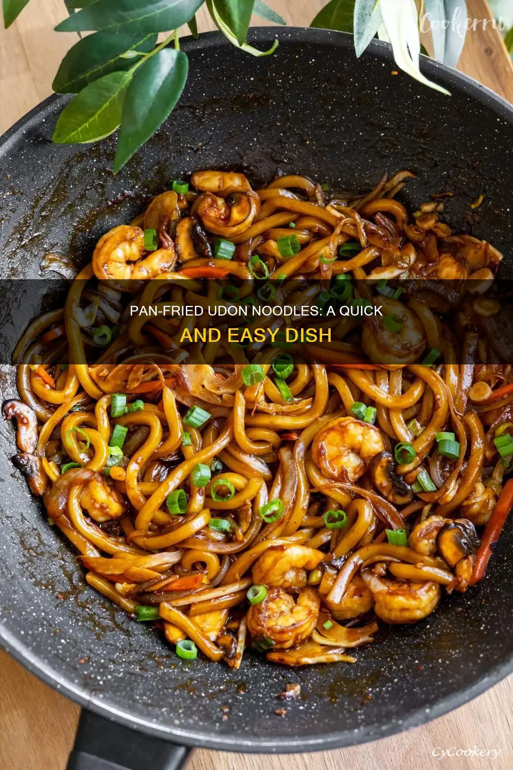 can you pan fry udon noodles