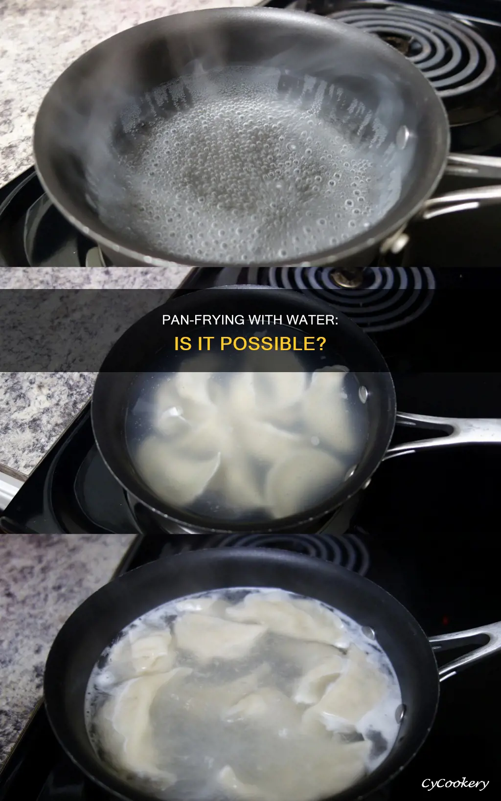 can you pan fry with water