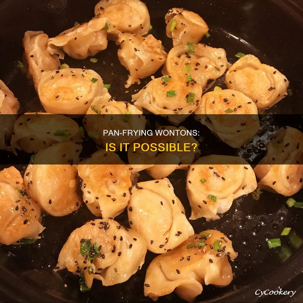 can you pan fry wontons