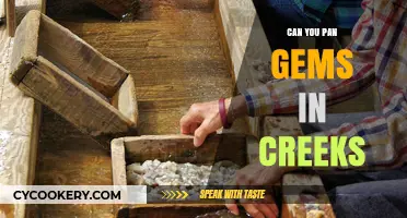 Panning for Creekside Gems: A Beginner's Guide