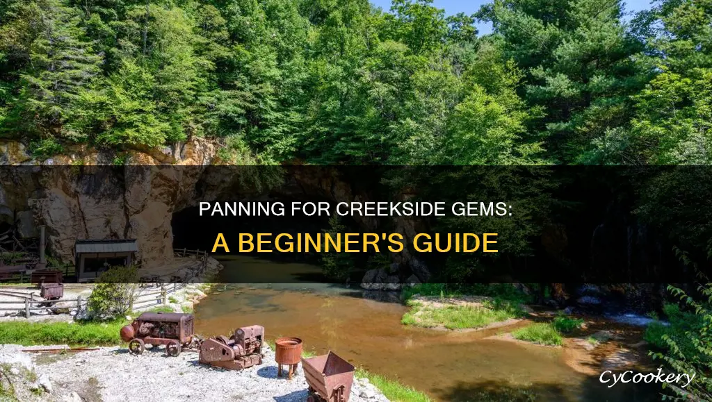 can you pan gems in creeks