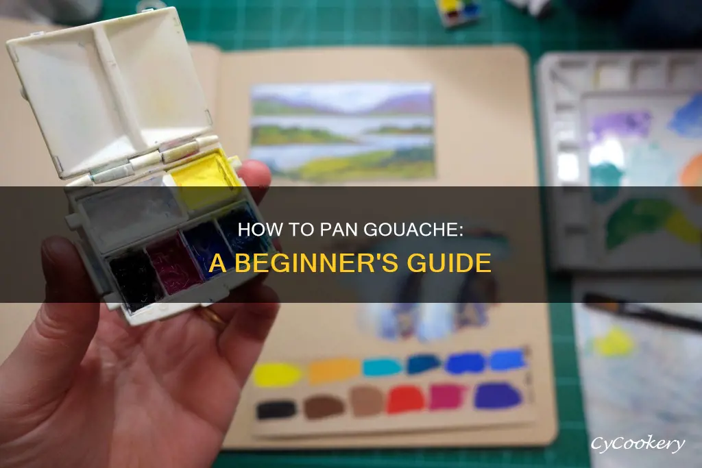 can you pan gouache