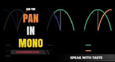 Panning in Mono: How to Pan Without Stereo