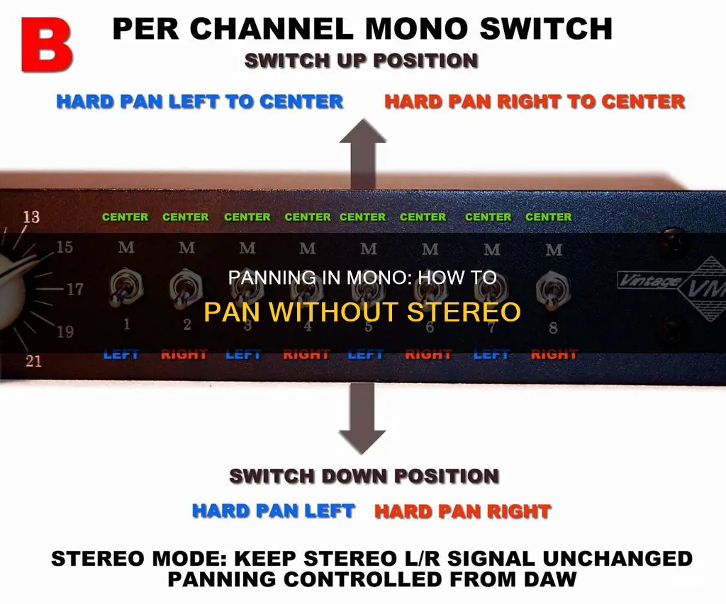 can you pan in mono